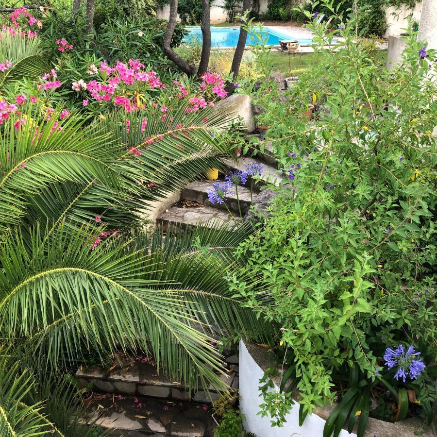 L'Appartement - Jardin Secret Marseille Luaran gambar