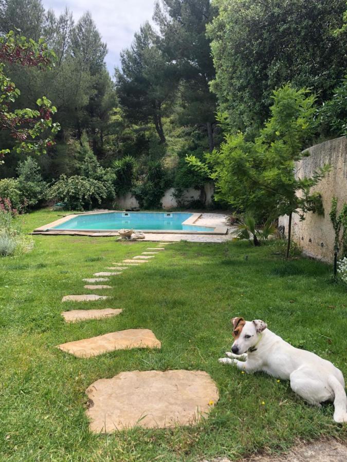 L'Appartement - Jardin Secret Marseille Luaran gambar