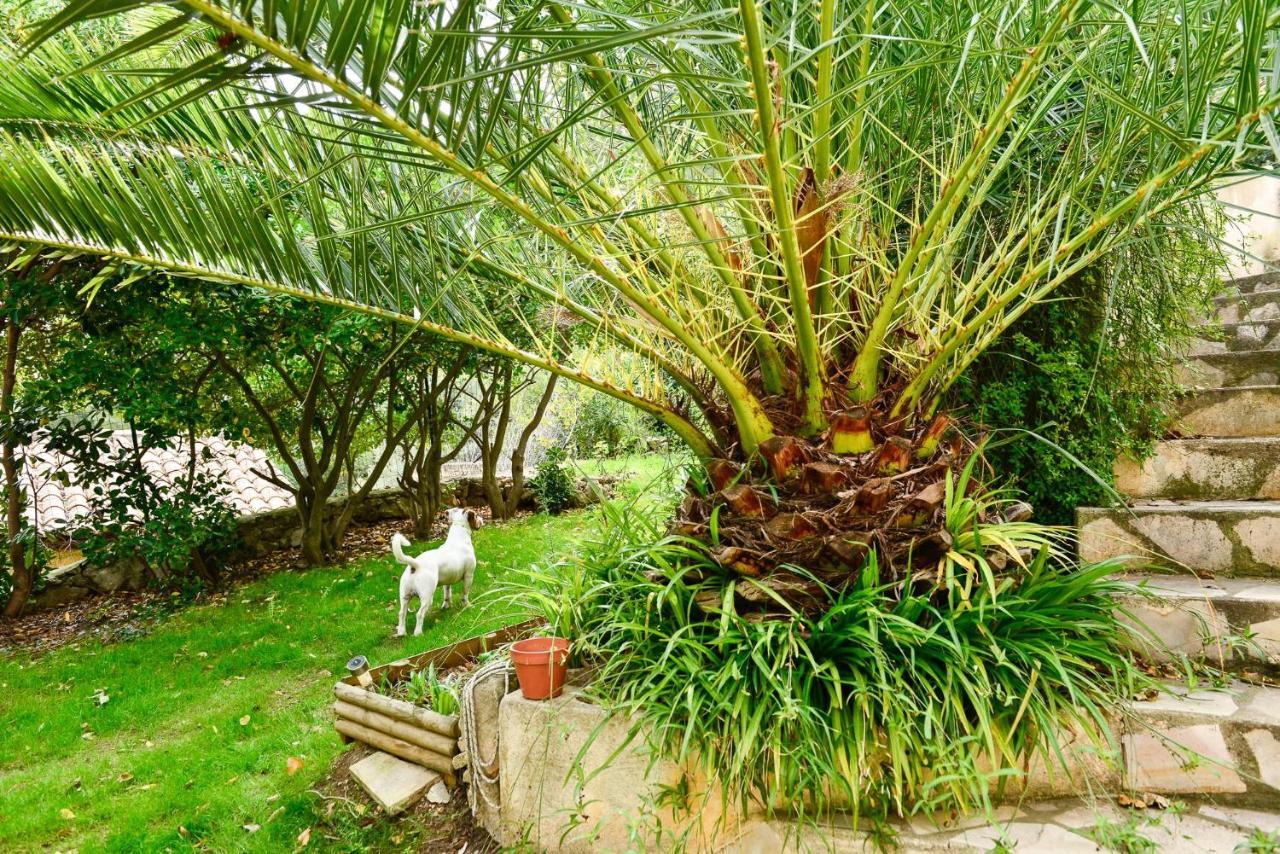 L'Appartement - Jardin Secret Marseille Luaran gambar
